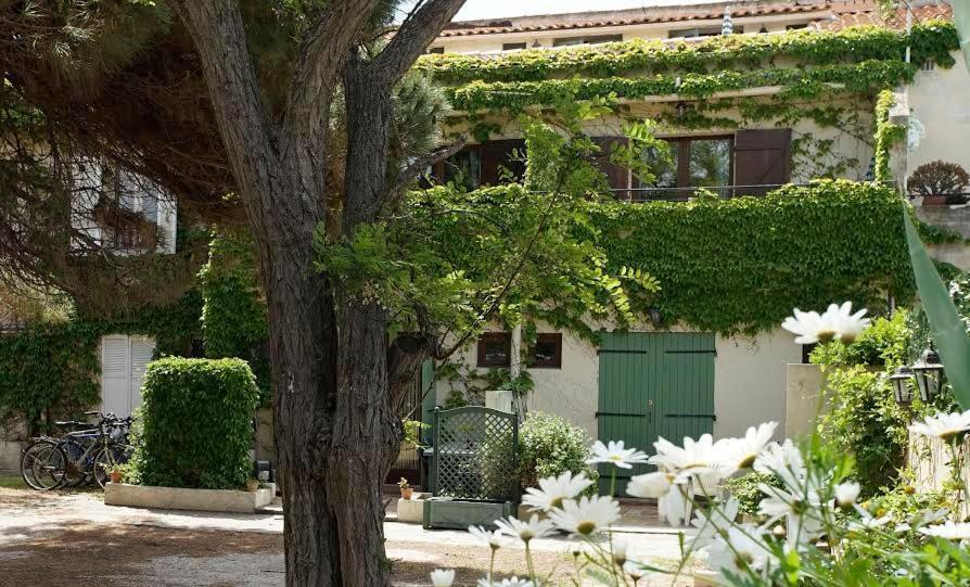 Residence Les Mandariniers Hyères Zewnętrze zdjęcie