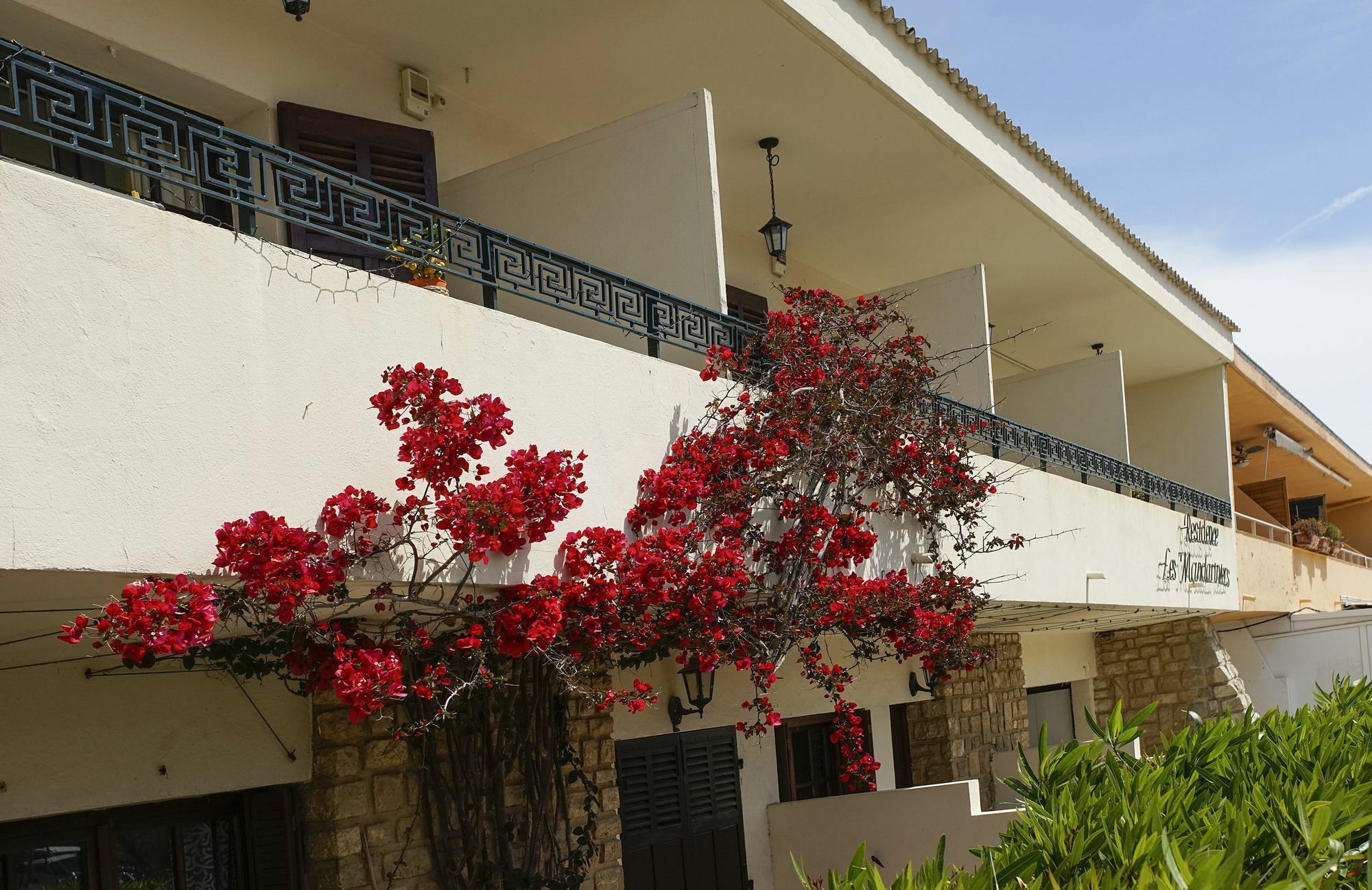 Residence Les Mandariniers Hyères Zewnętrze zdjęcie